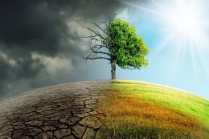 What Causes Climate Change? post thumbnail image