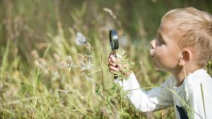 5 Ideas for Nature-Positive Summer Fun With Kids post thumbnail image