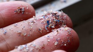 How To Reduce Your Exposure to Microplastics: A 2025 Update post thumbnail image