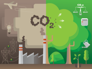 Carbon Offsets & Renewable Energy Certificates: 2025 Update post thumbnail image